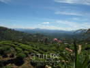 Srí Lanka - krajina u Nuwara Eliya