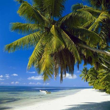Srí Lanka a Maledivy - poznání a relaxace u Indického oceánu